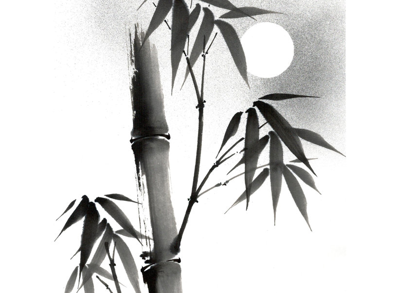 Sumi-e: The Mindful Art of Japanese Ink Painting: Akemi Lucas