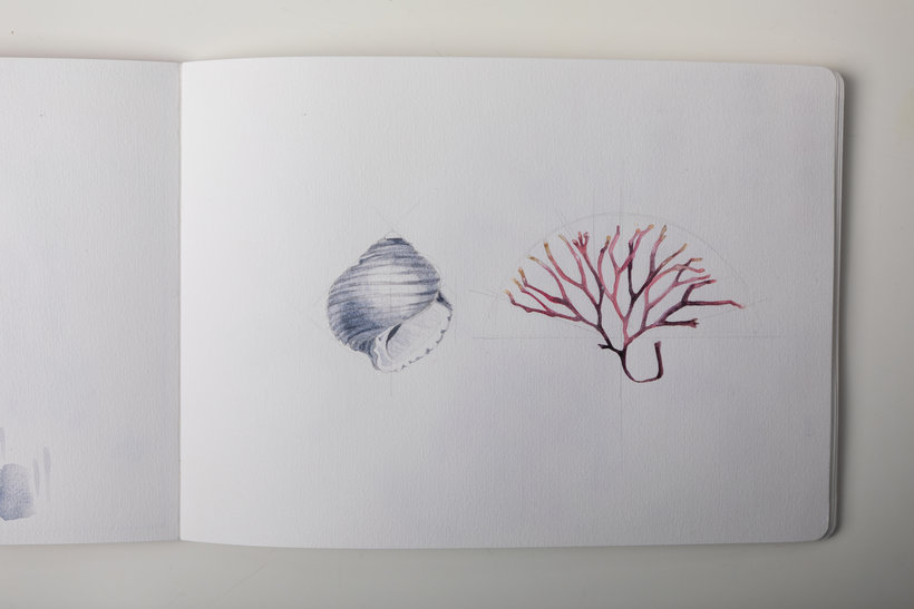 Illustrated Travel Sketchbook: Recording Nature | 
